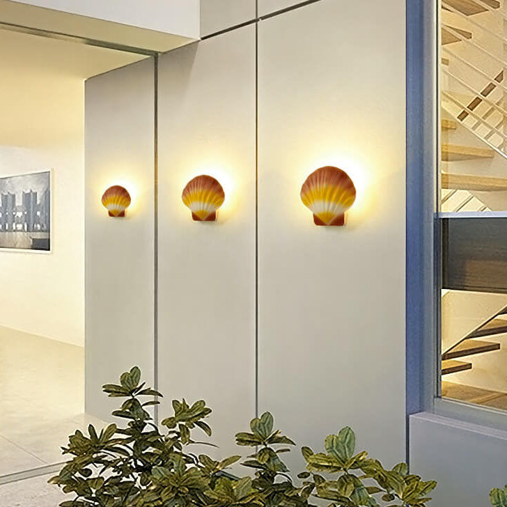 Cowrie Shell Outdoor Wall Sconce