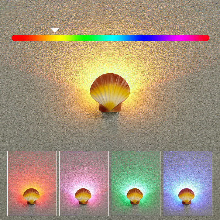 Cowrie Shell Outdoor Wall Sconce