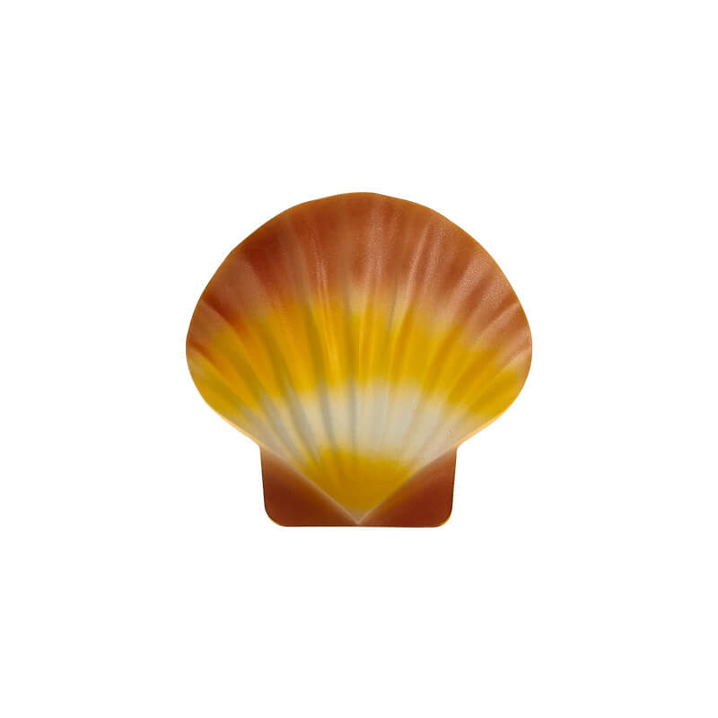 Cowrie Shell Outdoor Wall Sconce