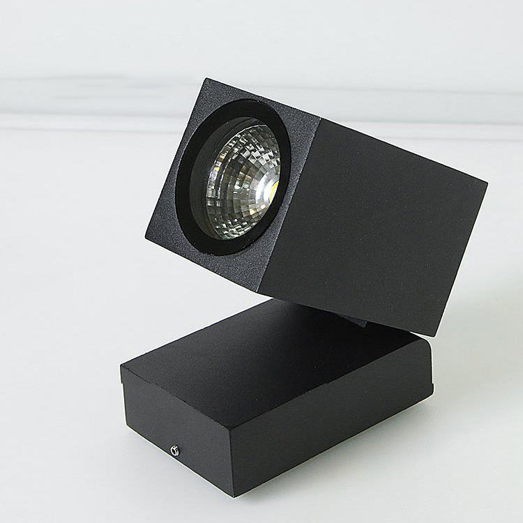 Pike Adjustable Spot Sconce