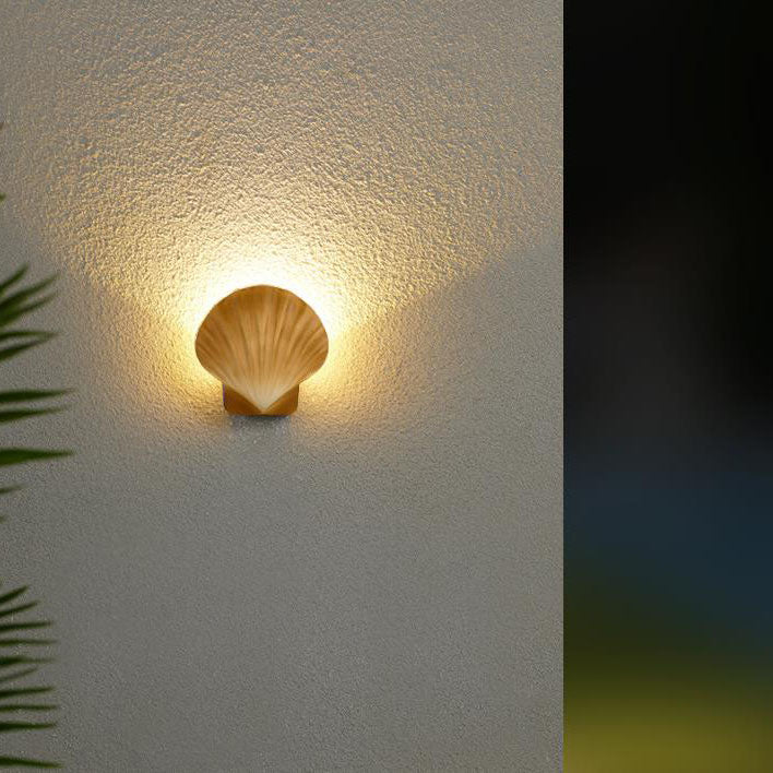 Cowrie Shell Outdoor Wall Sconce