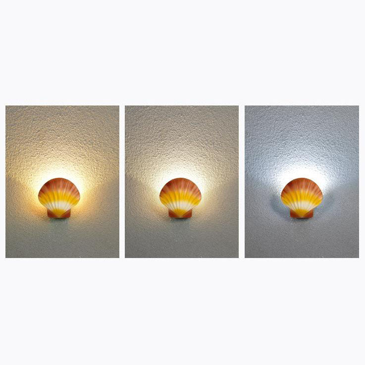 Cowrie Shell Outdoor Wall Sconce