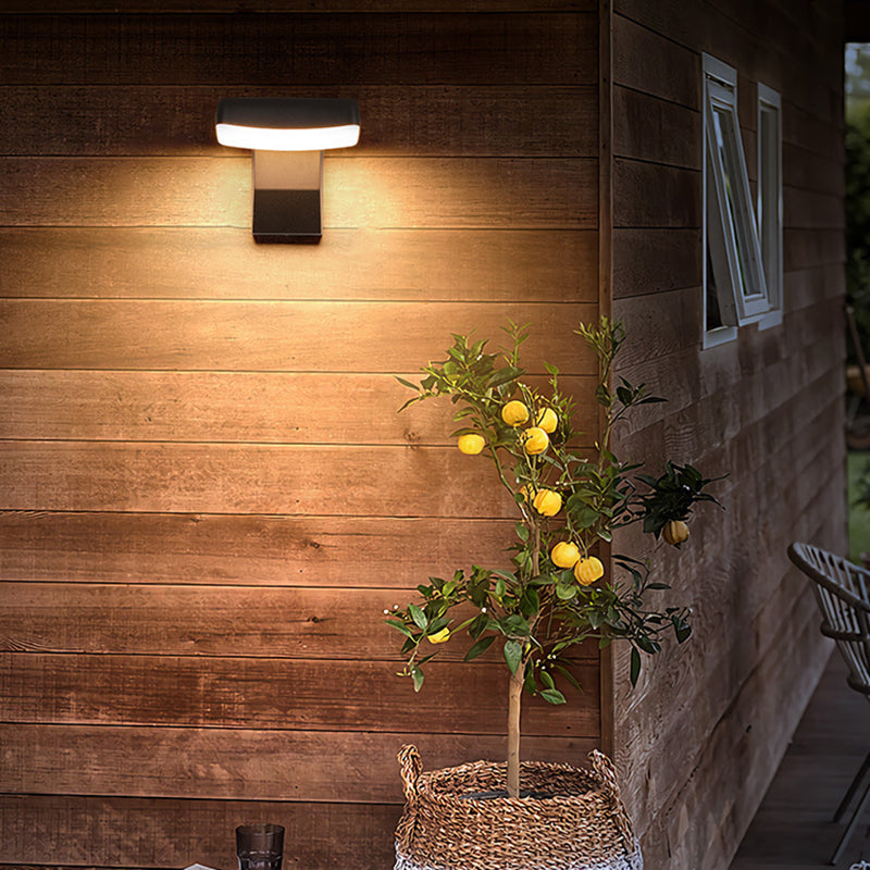 Ryland Rotating Wall Light