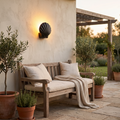 Cowrie Shell Outdoor Wall Sconce